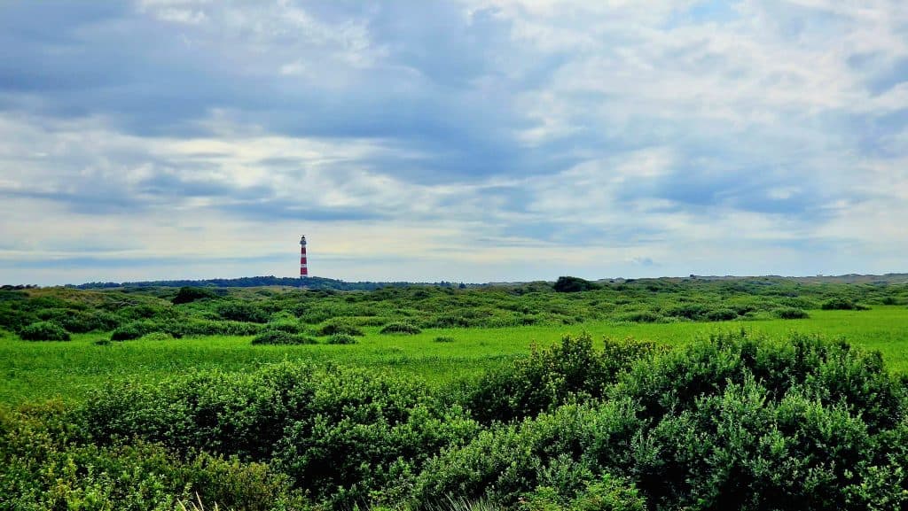 Vuurtoren van Ameland