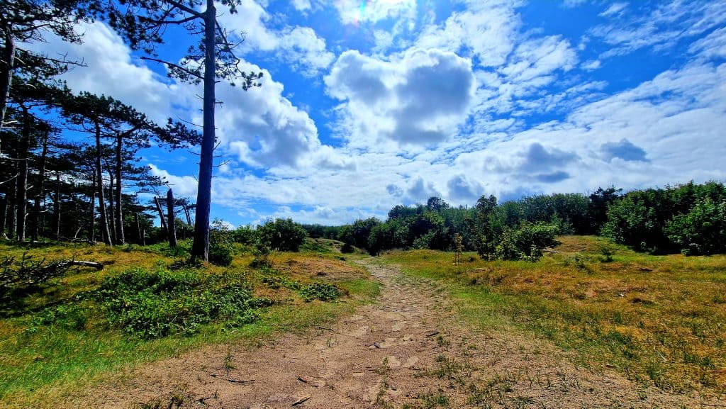 Wandelen in het bos van Hollum op Ameland