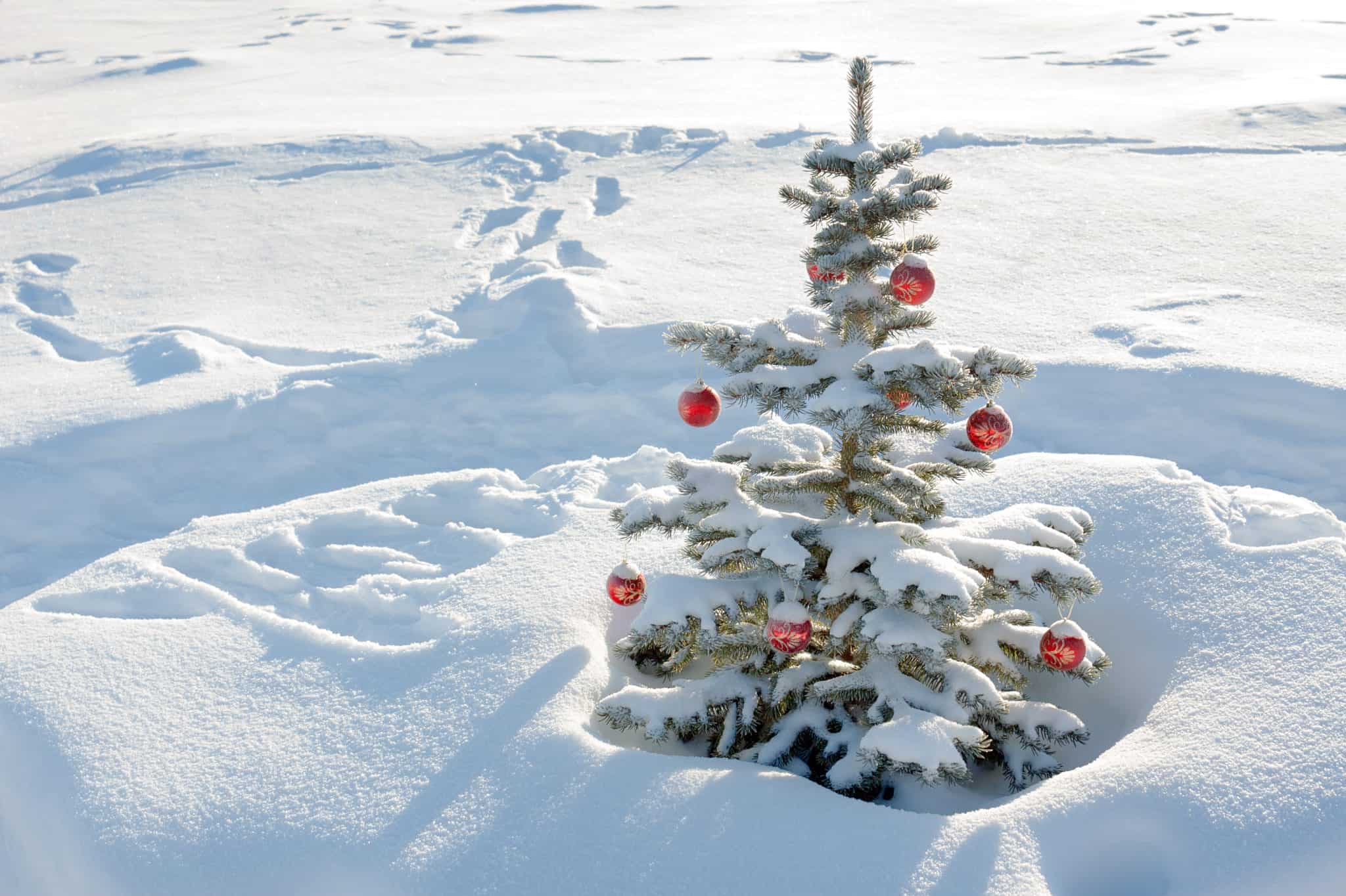 Hoe groot is de kans op een witte kerst in Nederland?