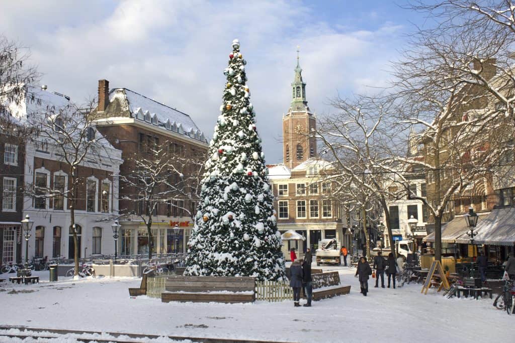 Een kerstboom met sneeuw in Den Haag