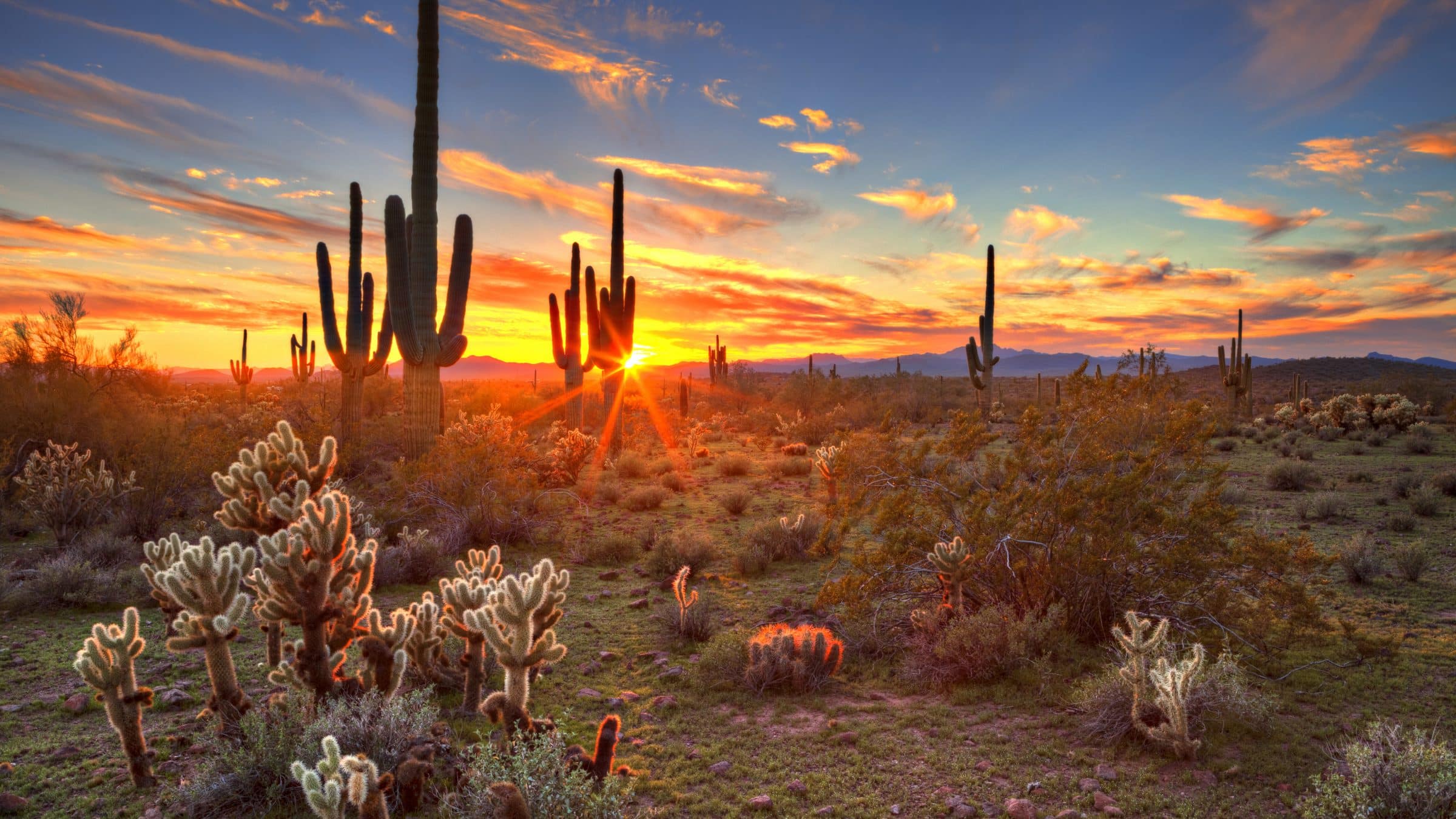 Arizona weather and climate ☀️ Best time to visit 🌡️ Temperature