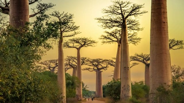 Das Klima von Madagaskar