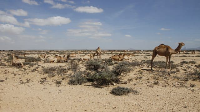 El clima de Somalia