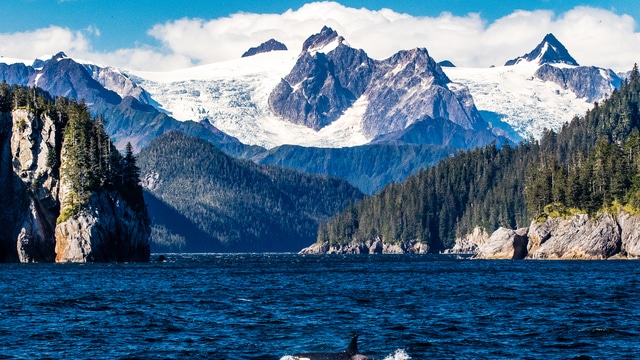 The climate of Kenai Fjords National Park