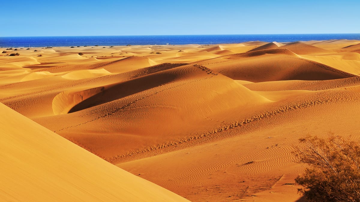 Maspalomas weather and climate ☀️ Water temperature 💧 Best time to visit