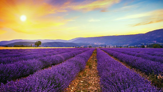 Le climat de Sault-de-Vaucluse