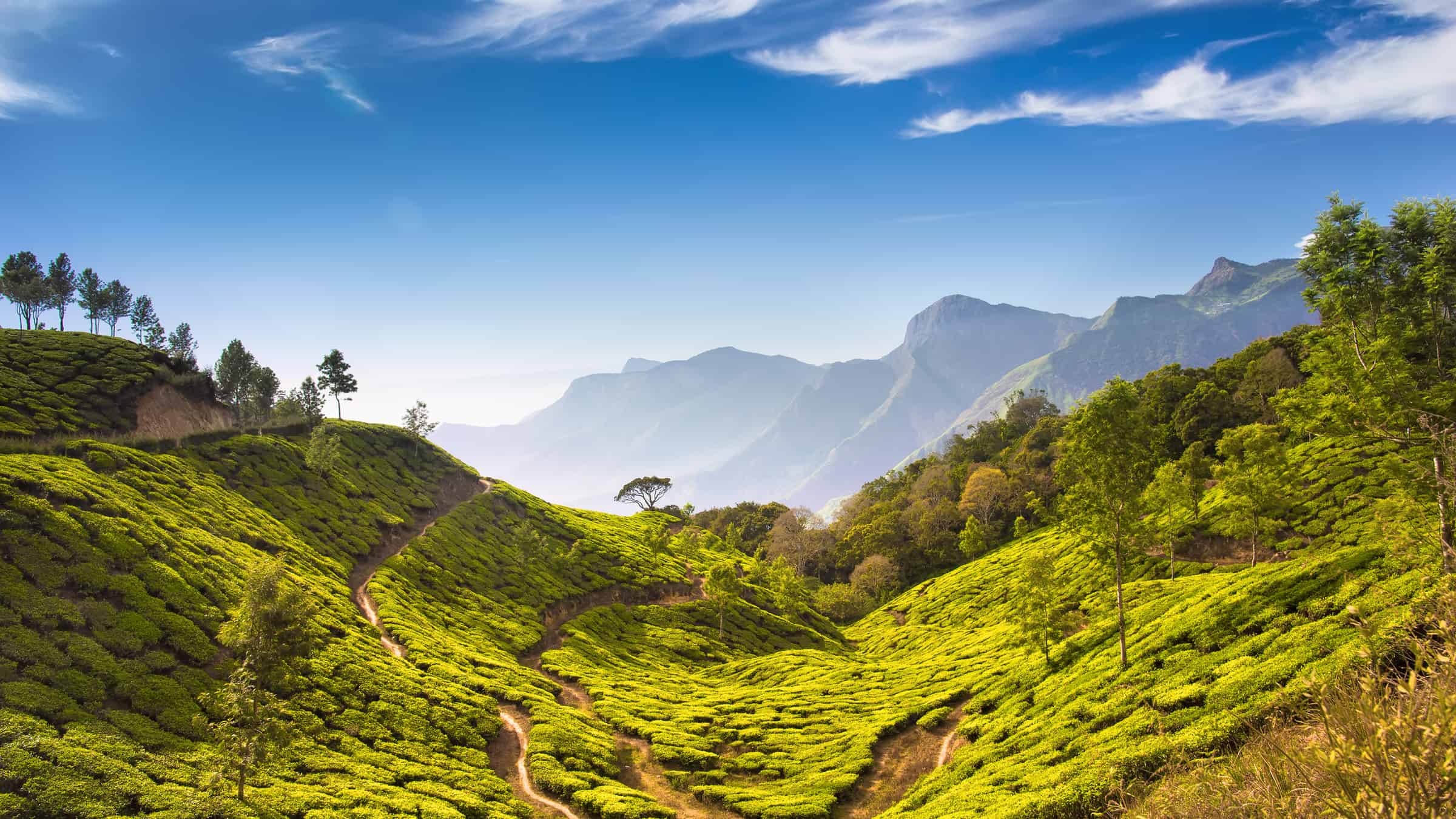 Das Wetter im Februar in Kerala