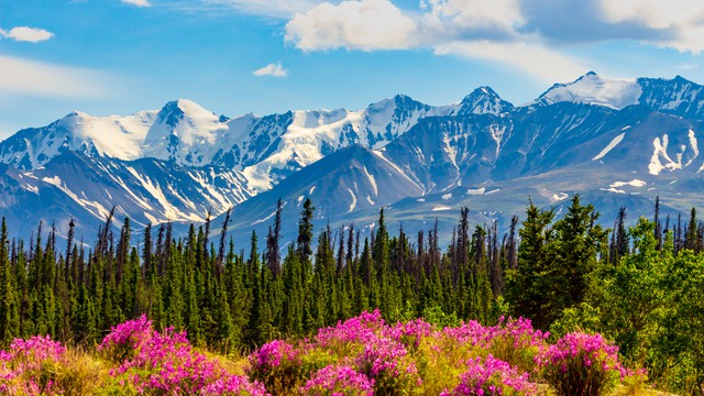 Yukon Clima Condizioni Della Neve Periodo Migliore Per La Visita