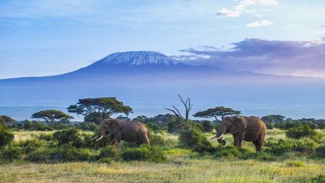 Das Klima von Kilimanjaro National Park