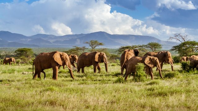 Alle Länder in Afrika