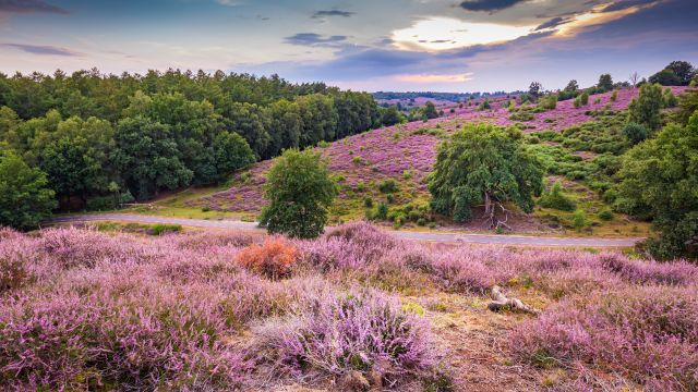 The weather in August in Gelderland