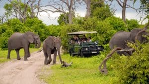 Het weer in Botswana in juni 2019