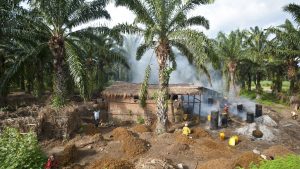 Het weer in Burundi in februari 2017