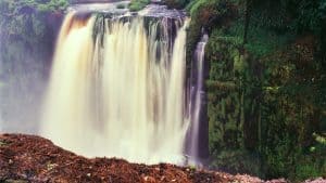 Het weer in Gabon in juli 2021