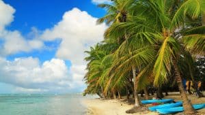 Het weer in Guadeloupe in februari 2020