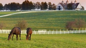 Het weer in Kentucky, Verenigde Staten in december 2025