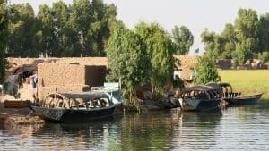 Het weer in Niger in januari 2016