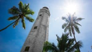 Het weer in Biscayne National Park, Florida in januari 2023