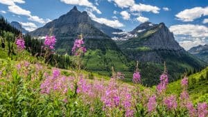 Het weer in Glacier National Park, Montana in april 2023