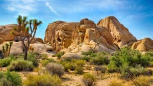 Het klimaat van Joshua Tree National Park, Californië