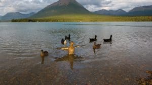 Weer in Lake Clark National Park and Preserve in januari 2026: temperatuur, zon en neerslag