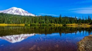 Het klimaat van Mount Rainier National Park, Washington