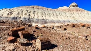 Het weer in Petrified Forest National Park, Arizona in augustus 2020