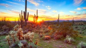 Weer in Saguaro National Park in mei 2020: temperatuur, zon en neerslag