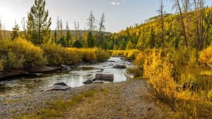 Weer in Elk River, Minnesota in maart 2021: temperatuur, zon en neerslag