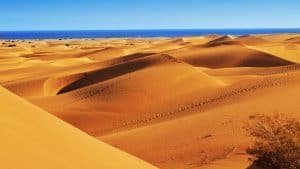 Het weer in Maspalomas, Gran Canaria in juli 2018