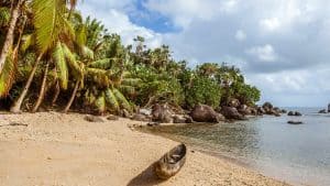 Het weer in Sainte-Marie, Madagaskar in januari 2021