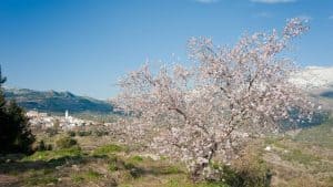 Het weer in Confrides, Spanje in september 2019