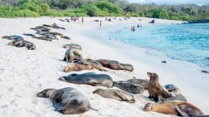 Het klimaat van Galapagoseilanden, Ecuador