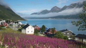 Het weer in april 2025 in Senja, Noorwegen