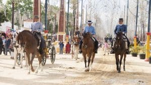 Het weer in Jerez de la Frontera, Spanje in november 2025