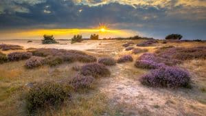 Het weer in De Hoge Veluwe (Nationaal Park), Nederland in maart 2023