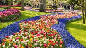 Het weer in Keukenhof, Nederland in februari 2022