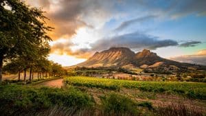 Het weer in Stellenbosch, Zuid-Afrika in juni 2015