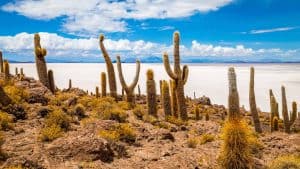 Het weer in Isla Incahuasi, Bolivia in maart 2015