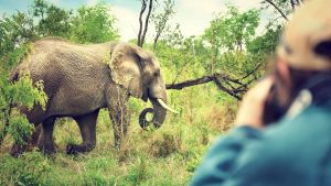 Het weer in Krugerpark, Zuid-Afrika in mei 2022