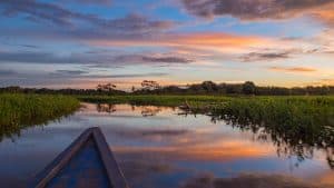 Het weer in Pucallpa, Peru in februari 2025