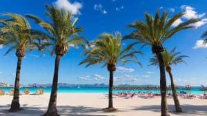 Het weer in Alcudia, Mallorca in oktober 2021