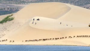 Het weer in Mũi Né, Vietnam in januari 2024