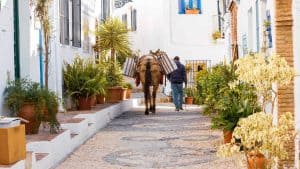 Het weer in Frigiliana, Spanje in mei 2017