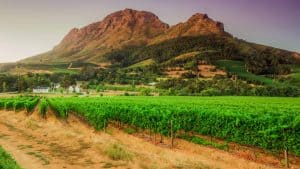 Het weer in Kaapse Wynland, Zuid-Afrika in juli 2019