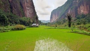 Het weer in Sumatra, Indonesië in juli 2020