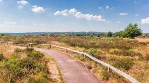 Het weer in Twente, Nederland in maart 2022