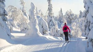 Het weer in Kuusamo, Finland in december 2020