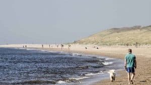 Het weer in Ouddorp, Nederland in november 2017