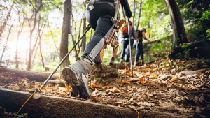 Wakker worden in de Ardennen: 5 wandeltips